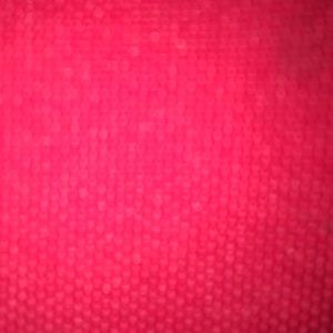 Meet your Posher, Siena